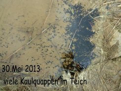 Bild14